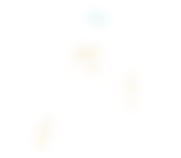 Left Image